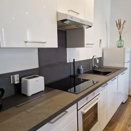 Apartment Le Saphir - Centre - Confort - 6p - Reve Au Mans *